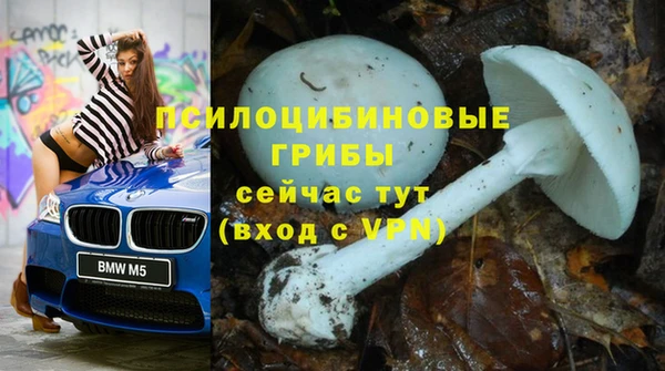 прущие крисы Протвино