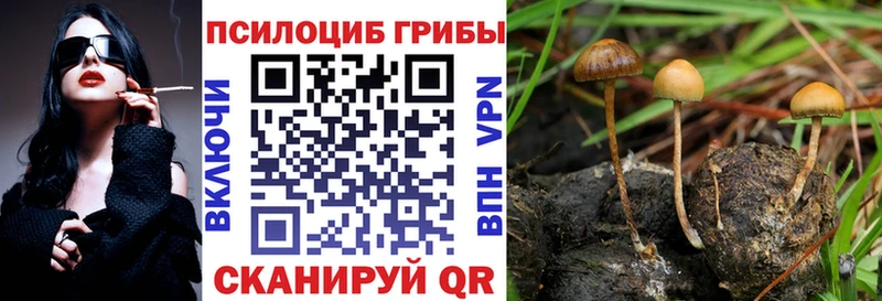 Галлюциногенные грибы Magic Shrooms  закладки  ОМГ ОМГ   Сольцы 